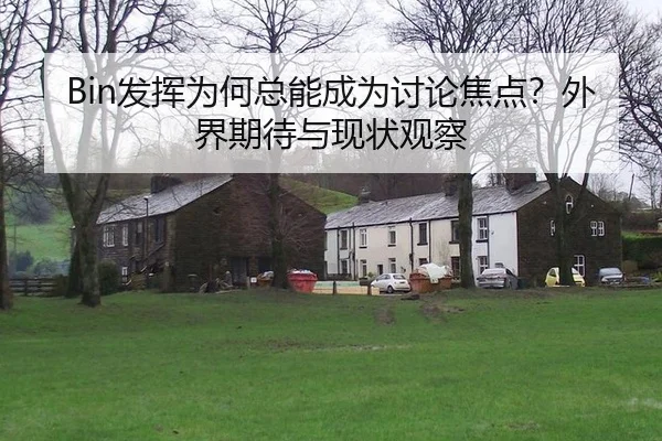 Bin发挥为何总能成为讨论焦点？外界期待与现状观察